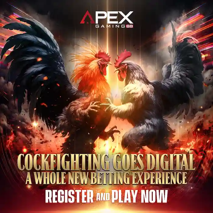 Online Sabong at Apex Gaming 88 - Difference from other Casino